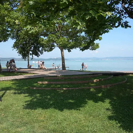 In - Balaton 33875