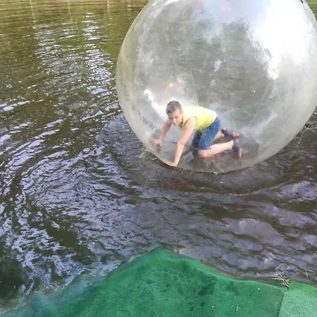 Appartement In - Balaton 33875